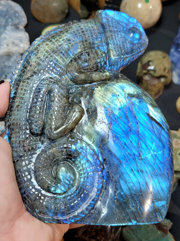 XL Super Flashy Labradorite Chameleon Carving