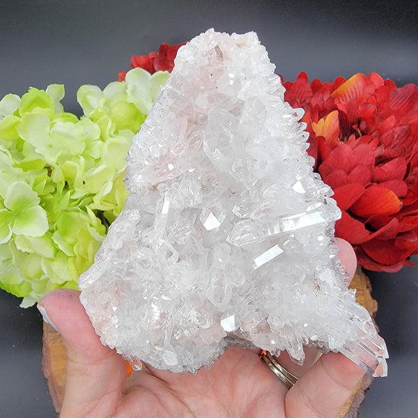 Rare Sacred Pink Lemurian from Colombia