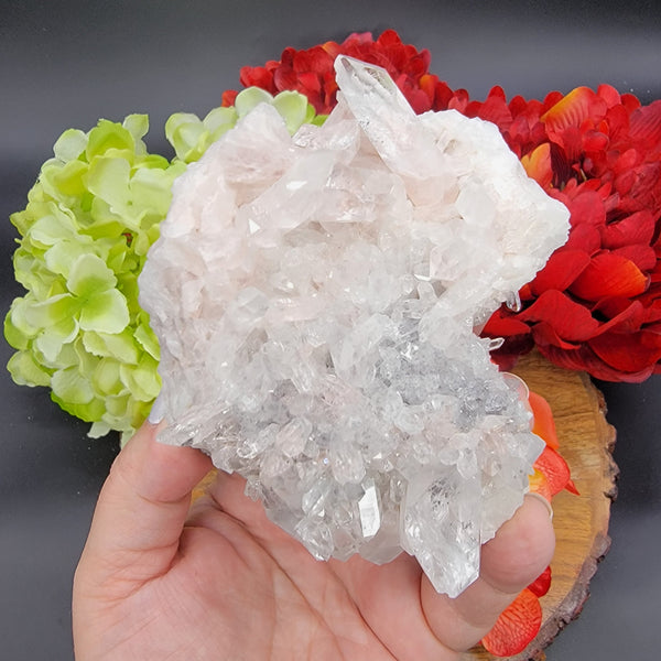 Rare Sacred Pink Lemurian Cluster From Colombia